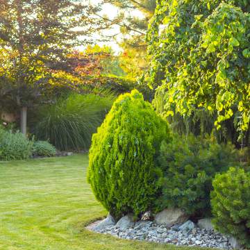 Contactez votre jardinier paysagiste à Camblanes-et-Meynac Contactez votre jardinier paysagiste à Camblanes-et-Meynac