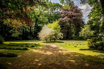 Entretien de jardin : Le calendrier annuel des tâches essentielles